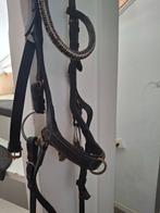 Hoofdstel full, Dieren en Toebehoren, Paarden en Pony's | Hoofdstellen en Tuigage, Ophalen, Gebruikt, Recreatie