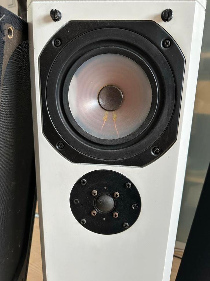 Driade 9 Speakers - Nette Staat, Audio, Tv en Foto, Luidsprekers, Gebruikt, Front, Rear of Stereo speakers, Overige merken, Ophalen