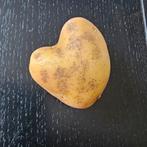 Hartvormige aardappel, Ophalen of Verzenden