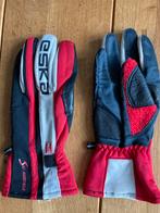 Eska Ski Austria Ski Handschoenen, Overige merken, Gebruikt, Ophalen of Verzenden, Kleding