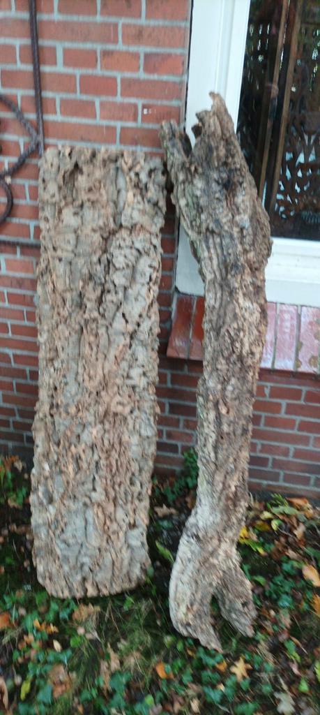 Grote en kleine stukken kurk Terrarium reptielen verblijf, Dieren en Toebehoren, Reptielen en Amfibieën | Toebehoren, Zo goed als nieuw