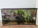 Paludarium 60x30x30, Dieren en Toebehoren, Reptielen en Amfibieën | Toebehoren, Ophalen, Gebruikt, Terrarium of Paludarium