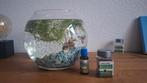 Vissenkom met inrichting en vissen., Dieren en Toebehoren, Ophalen, Zo goed als nieuw, Gevuld zoetwateraquarium