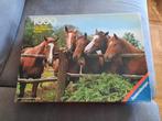 Mooie paarden puzzel, Ophalen of Verzenden, 500 t/m 1500 stukjes, Gebruikt, Legpuzzel