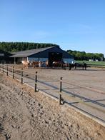 Aangeboden: Ponyplek in groepshuisvesting