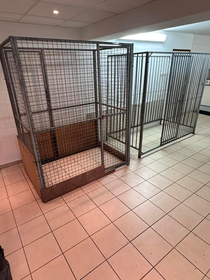 Rennen / hokken / Binnen / Buiten, Dieren en Toebehoren, Hondenhokken, Zo goed als nieuw, 100 cm of meer, 110 cm of meer, Ophalen of Verzenden