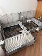 Ferplast Modulair cavia kooi (Modulair 1 + Modulair 2), Dieren en Toebehoren, Knaagdieren en Konijnen | Hokken en Kooien, Kooi