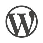 Website Laten Maken Amsterdam | WordPress Amsterdam, Ophalen of Verzenden, Nieuw, Internet of Webdesign, Noordhoff Uitgevers