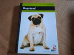 Mopshond, Ophalen of Verzenden, Zo goed als nieuw, Honden