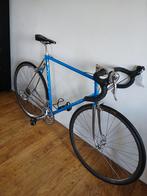 Gereviseerde Pinarello Asolo 59cm Azuri Blauw., Ophalen, Zo goed als nieuw, Carbon, Overige merken