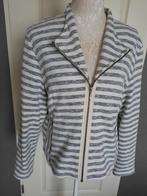 Vest Dreamstar  Kleur : creme Grijs Maat : XL 42, Ophalen of Verzenden, Zo goed als nieuw, Maat 42/44 (L), Overige kleuren