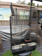 Mooie en aparte vogelkooi voor Valkparkiet/(Dwerg)papagaai, Dieren en Toebehoren, Ophalen, Gebruikt, Metaal, Vogelkooi