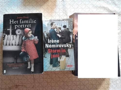 Nemirovsky Irene : Storm in juni, Boeken, Historische romans, Ophalen of Verzenden