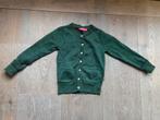 Vestje glitter maat 98 (labelmaat 98/104), Ophalen of Verzenden, Gebruikt, Meisje, Trui of Vest