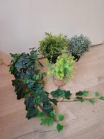 nep planten, Ophalen of Verzenden, Zo goed als nieuw