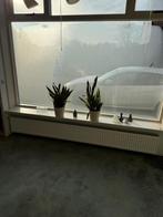 Radiatoren te koop. Verschillende maten, Ophalen, 30 tot 80 cm, Radiator, 60 tot 150 cm