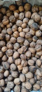 Verse walnoten 2025, Diversen, Ophalen of Verzenden