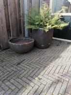 Mooie gebruikte bloempotten, Ophalen, Gebruikt, 40 cm of meer, Rond