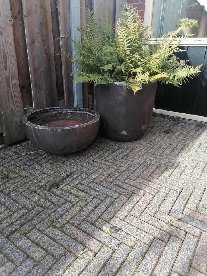 Mooie gebruikte bloempotten, Tuin en Terras, Bloempotten, Gebruikt, Beton, Binnen, Balkon, Tuin, 40 tot 70 cm, 40 cm of meer, Rond