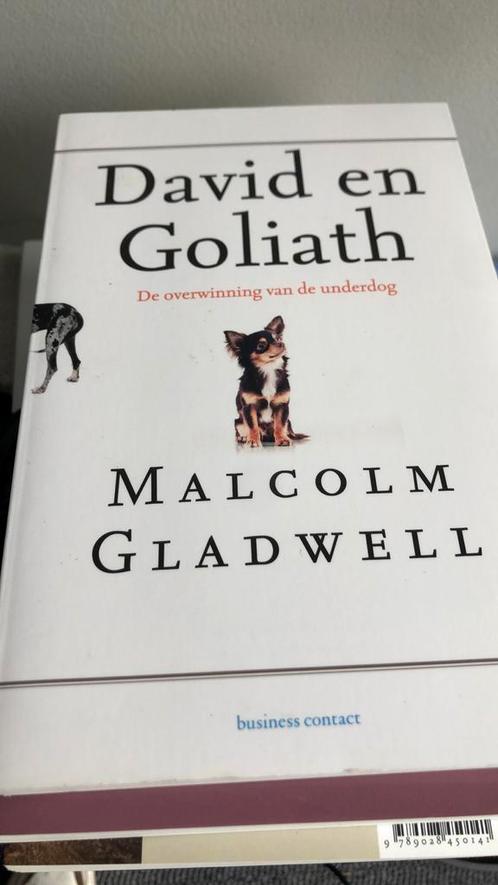 Malcom Gladwell - David en Goliath, Boeken, Filosofie, Zo goed als nieuw, Ophalen of Verzenden