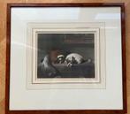 Ingelijste prent Cavalier King Charles, Edwin Landsheer, Ophalen of Verzenden