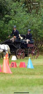 Presentatiewagen vierspan pony, Dieren en Toebehoren, Paarden en Pony's | Hoofdstellen en Tuigage, Ophalen, Zo goed als nieuw