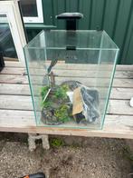 Aqaurium nieuw, Ophalen of Verzenden, Leeg aquarium