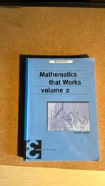 Mathematics that works 2 - Maarten de Gee, Ophalen of Verzenden, Zo goed als nieuw, Natuurwetenschap, Maarten de Gee