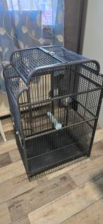 Ruime grote kooi voor parkieten – weinig gebruikt, Dieren en Toebehoren, Vogels | Hokken en Kooien, Ophalen of Verzenden, Zo goed als nieuw