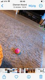 Mooi groot kleed, Ophalen of Verzenden, Gebruikt, Minder dan 10 m², Tapijt