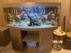 Groot aquarium met vissen en 2 filterpompen 150br x 144hg, Ophalen, Gebruikt, Gevuld zoetwateraquarium