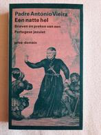 Viera Een natte hel, Boeken, Literatuur, Ophalen of Verzenden, Zo goed als nieuw, Nederland