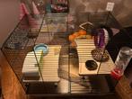 Hamster kooi met toebehoren te koop., Ophalen, Gebruikt, Overige typen