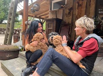 We waren op tv  cuddlewellranch ‘ bijzondere labradoodle  . beschikbaar voor biedingen