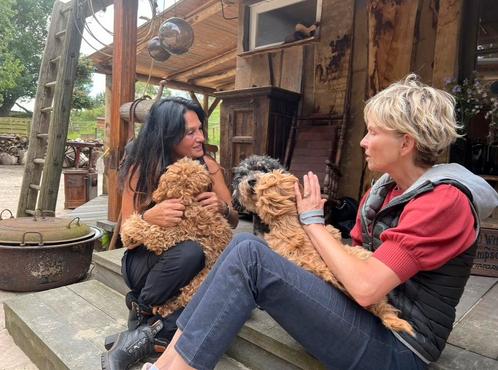 We waren op tv  cuddlewellranch ‘ bijzondere labradoodle  ., Dieren en Toebehoren, Honden | Retrievers, Spaniëls en Waterhonden