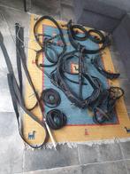 Mentuig (Fries), compleet, leder!, Dieren en Toebehoren, Ophalen, Gebruikt, Overige soorten