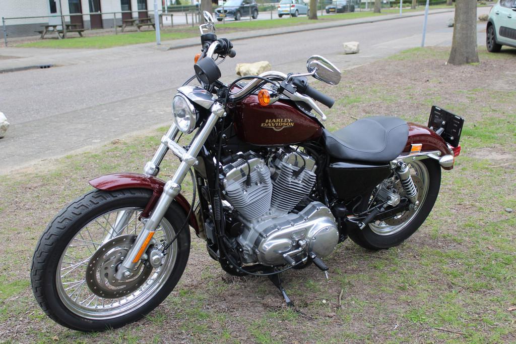 Harley-Davidson Sportster XL 883 Sportster XL 883 L low, Motoren, Motoren | Harley-Davidson, Chopper, Bedrijf, 883 cc, Meer dan 35 kW