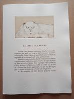 Leonor Fini Ets Les Chat des Neiges Surrealisme 1975, Antiek en Kunst, Kunst | Etsen en Gravures, Ophalen of Verzenden