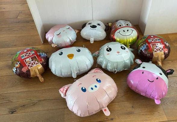 Dieren ballonnen, Kinderen en Baby's, Speelgoed | Knuffels en Pluche, Ophalen, Zo goed als nieuw