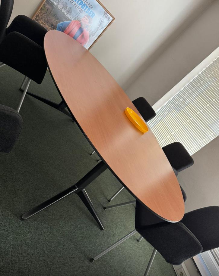 Artifort Lande ovale eettafel, Huis en Inrichting, Ophalen of Verzenden, Zo goed als nieuw, 4 tot 6 stoelen