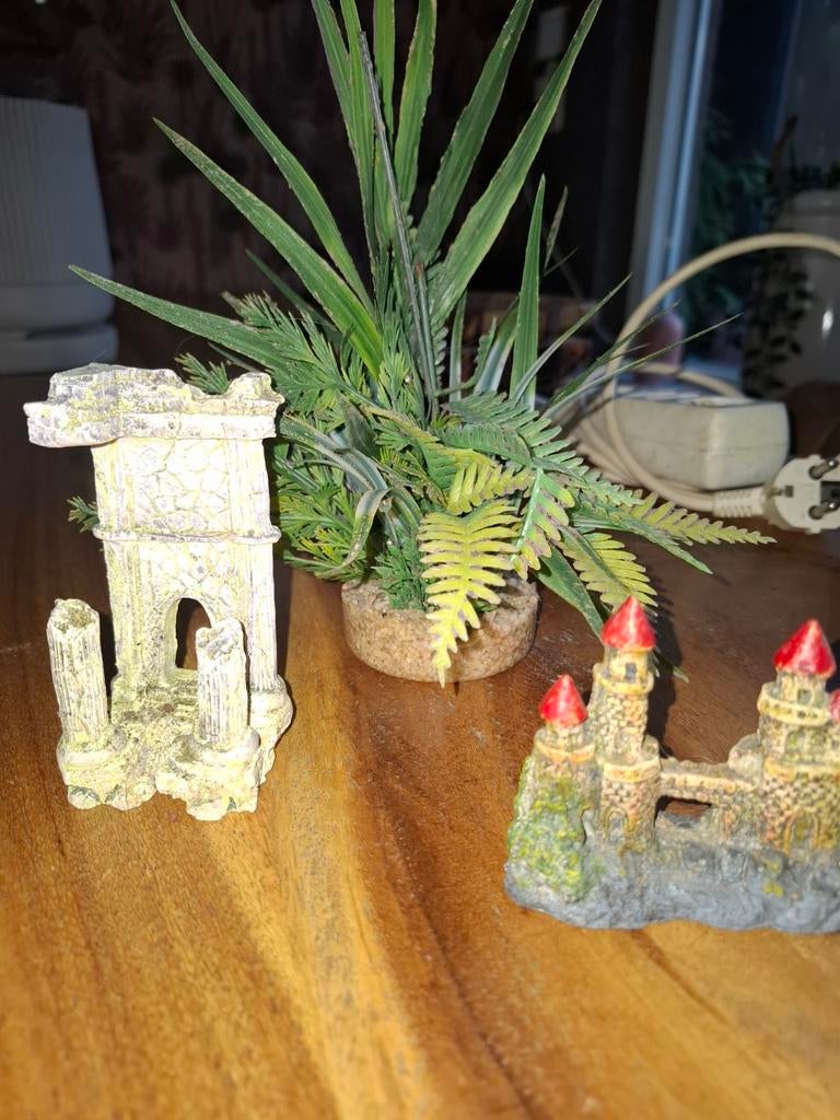 Aquarium decoratie, Ophalen of Verzenden