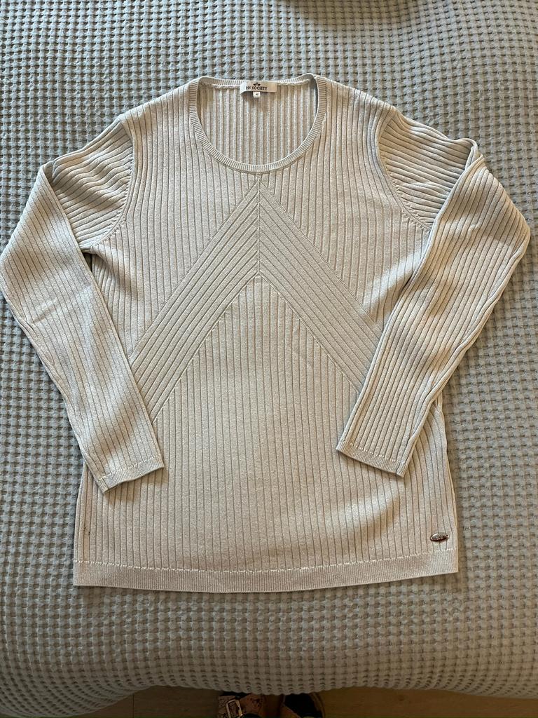 HV Society trui zilvergrijs, Kleding | Dames, Ophalen of Verzenden, Zo goed als nieuw, Maat 38/40 (M), Grijs