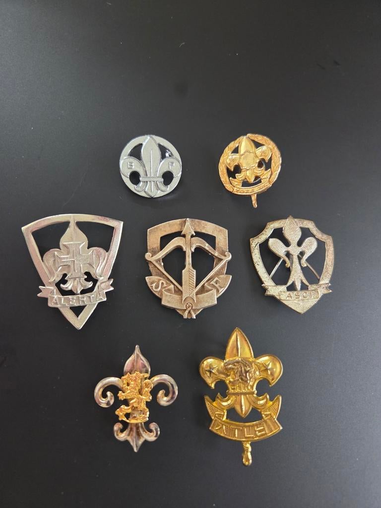 Scouting collectie verschillende hoedemblemen, Verzamelen, Scouting, Ophalen of Verzenden, Gebruikt, Embleem, Speld of Insigne