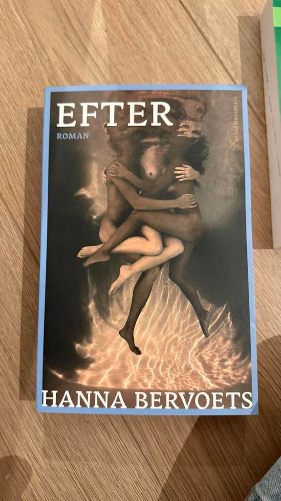Boek Efter - Hanna Bervoets, Boeken, Ophalen of Verzenden, Zo goed als nieuw
