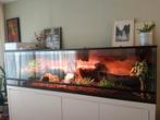 Custom build Terrarium 210 x 50 x 55, Ophalen, Gebruikt, Terrarium of Paludarium