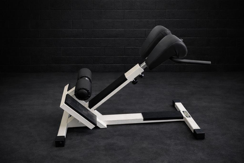 Technogym Hyper extension, Sport en Fitness, Ophalen, Zo goed als nieuw, Overige typen