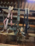 Shetlander halsters en deken, Ophalen of Verzenden, Overige typen, Minder dan 2 meter