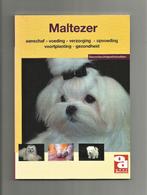 Maltezer - Anneke Tasseron e.a., Ophalen of Verzenden, Nieuw, Honden