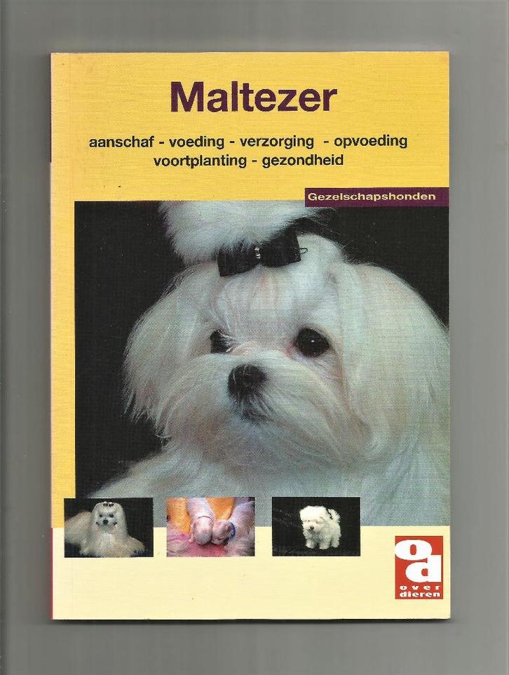 Maltezer - Anneke Tasseron e.a., Boeken, Dieren en Huisdieren, Nieuw, Honden, Ophalen of Verzenden