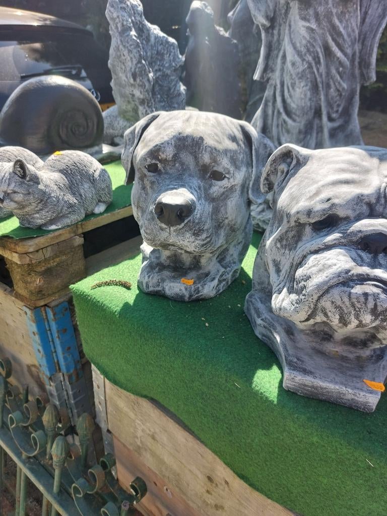 Hondenkoppen, verschillende soorten, Ophalen, Nieuw, Beton, Dierenbeeld